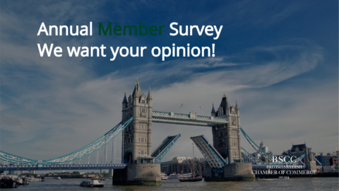 SurveyWebsiteTemplate480x270 SurveyWebsiteTemplate480x270