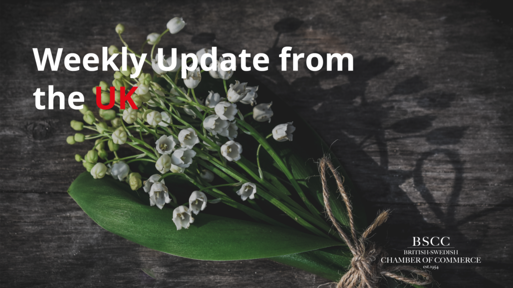 38. Weekly Newsletter