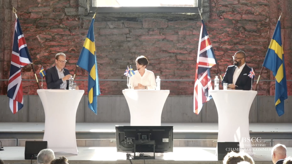 Security Challenges in Northern Europe from a Swedish and British Perspective