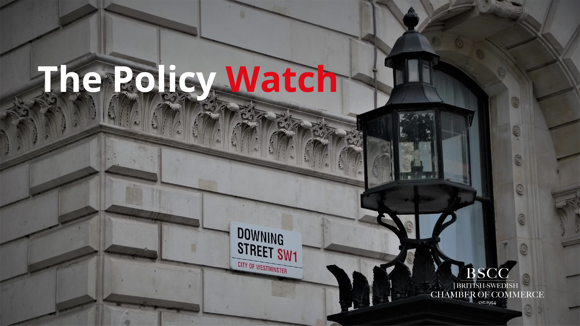 5. The Policy Watch