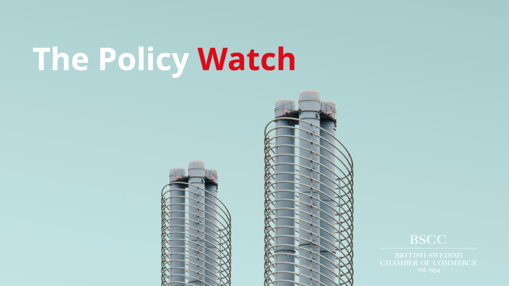 17. The Policy Watch